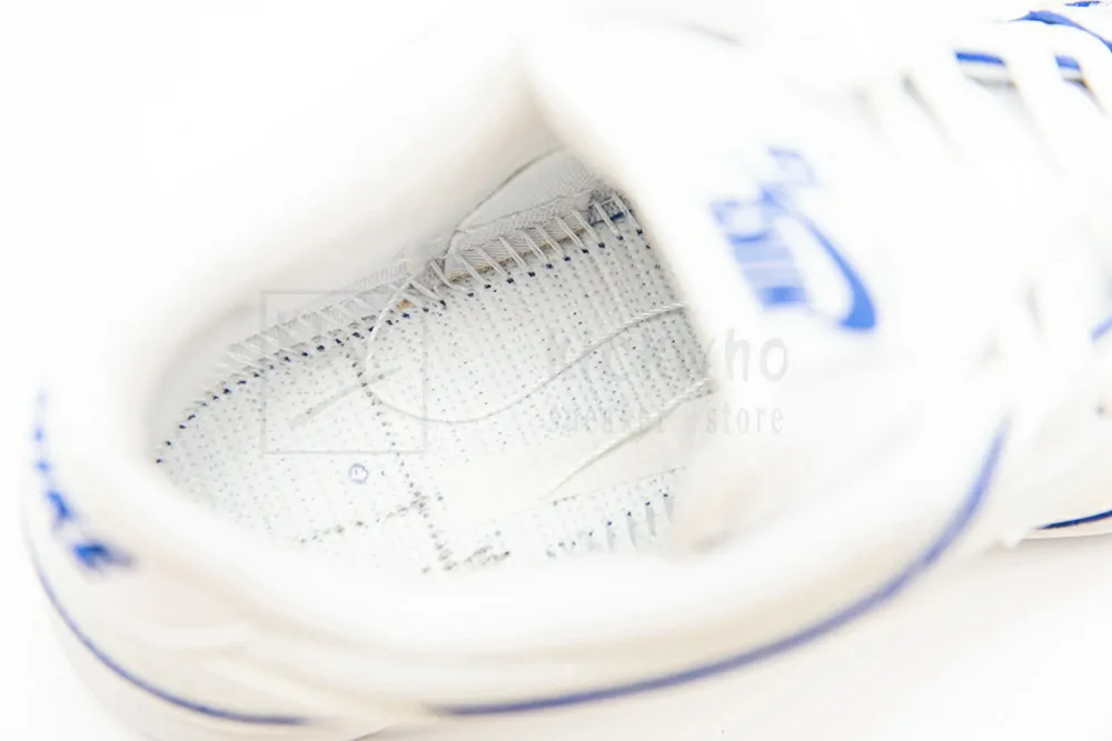 dunk low premium sb