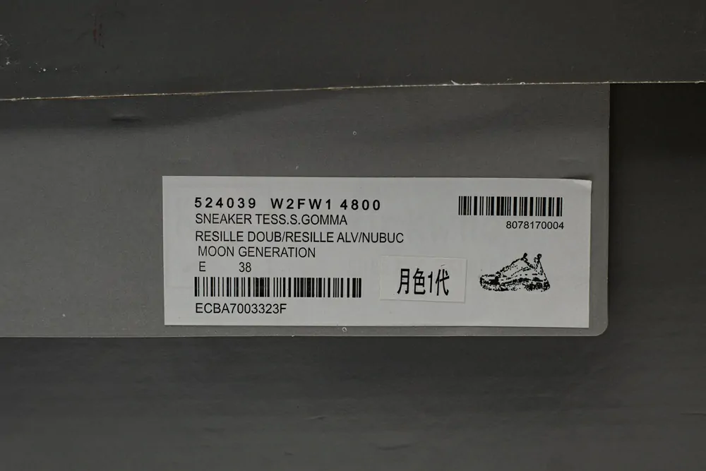 Ba*len*cia*ga triple s trainer