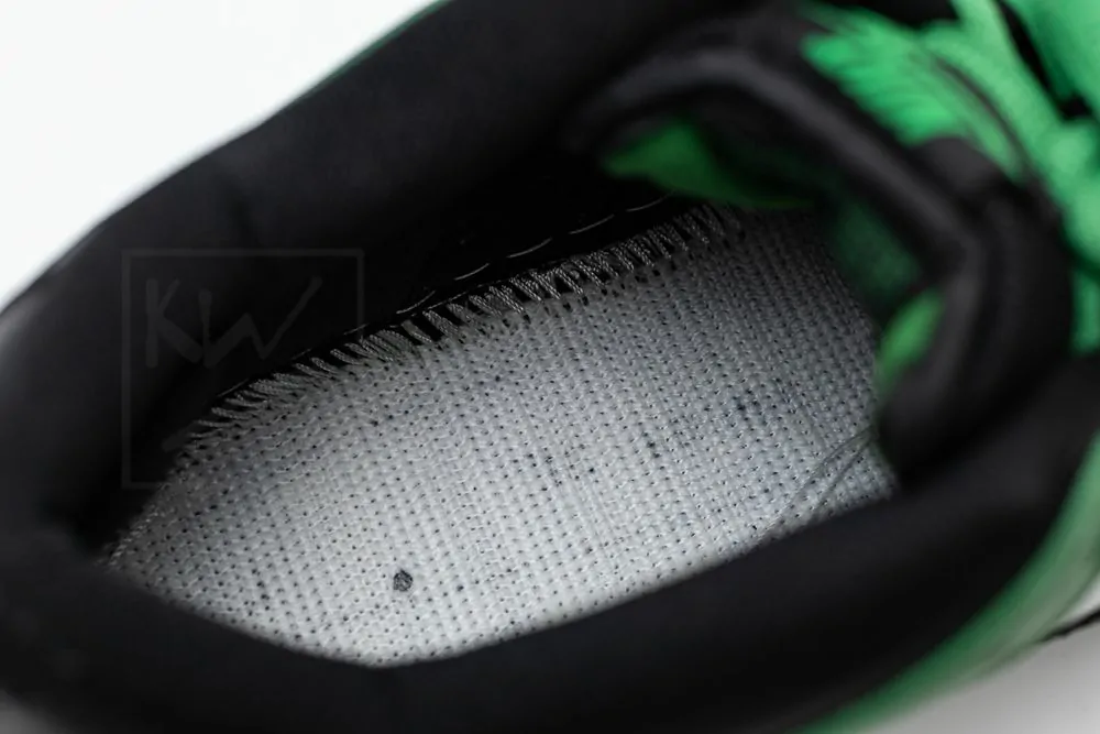 dunk low pro sb