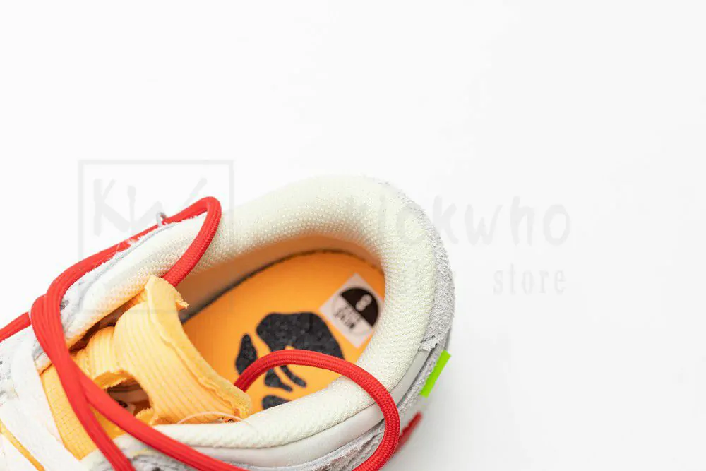 off-white x dunk low