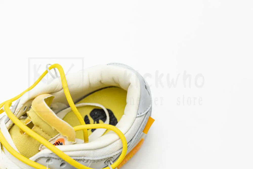 off-white x dunk low