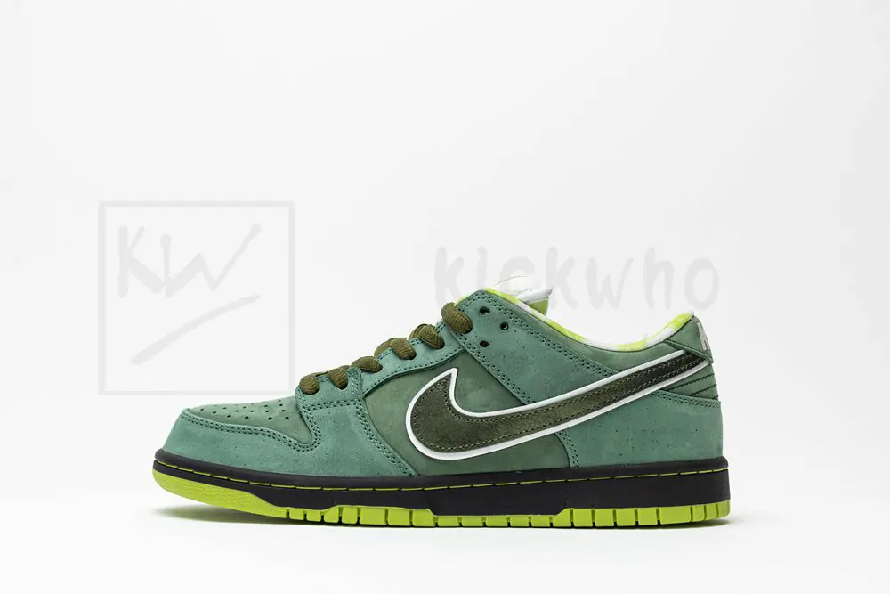concepts x dunk low sb