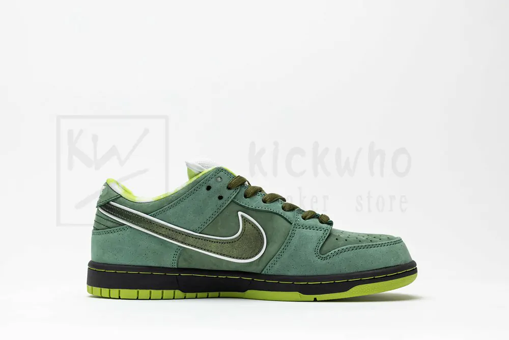 concepts x dunk low sb