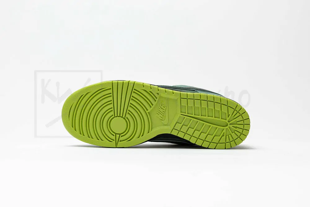 concepts x dunk low sb