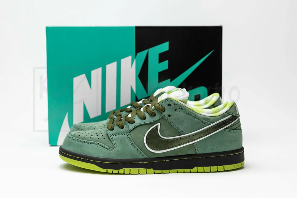 concepts x dunk low sb