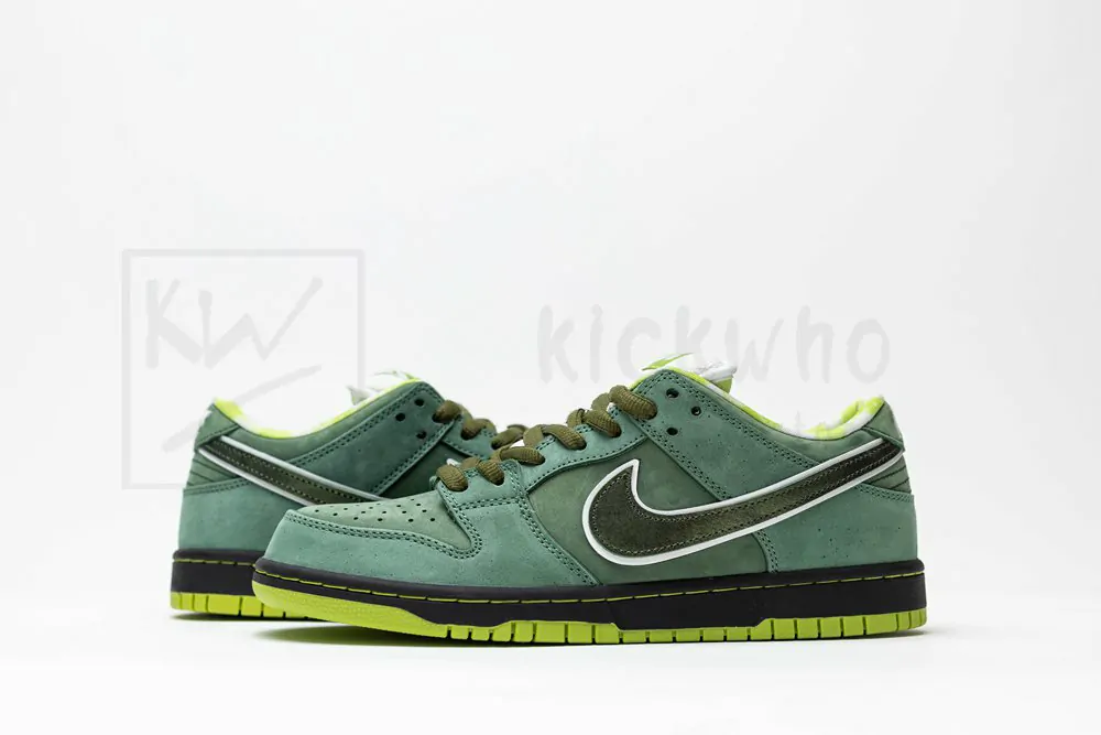 concepts x dunk low sb