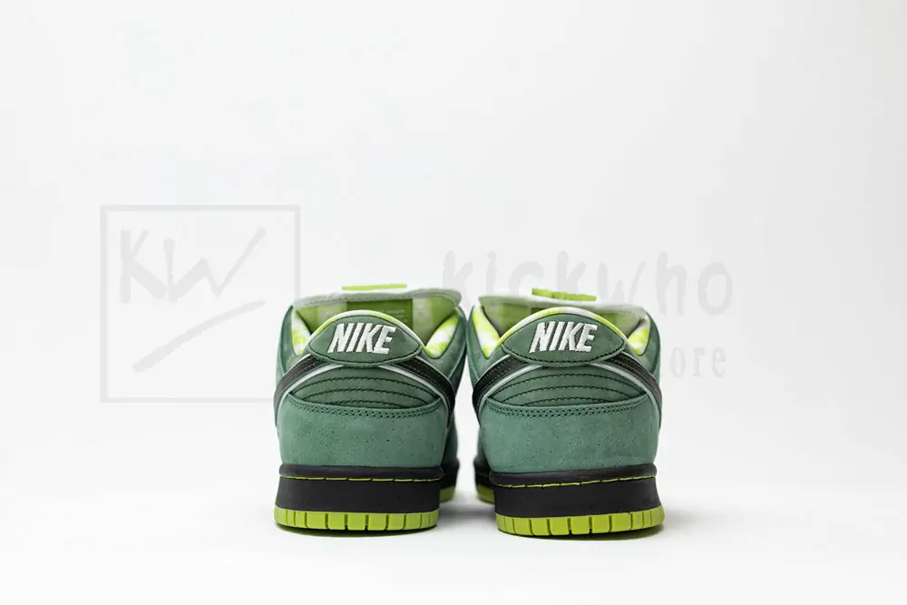 concepts x dunk low sb