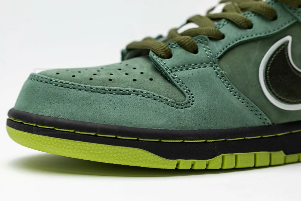 concepts x dunk low sb