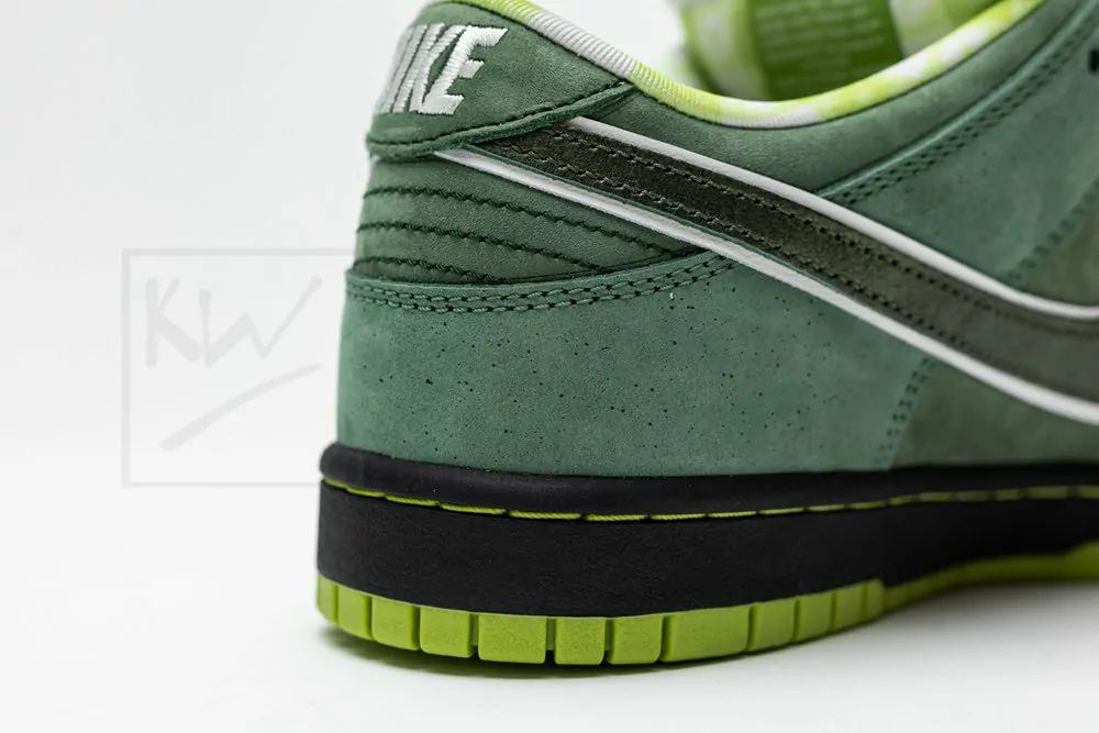 concepts x dunk low sb