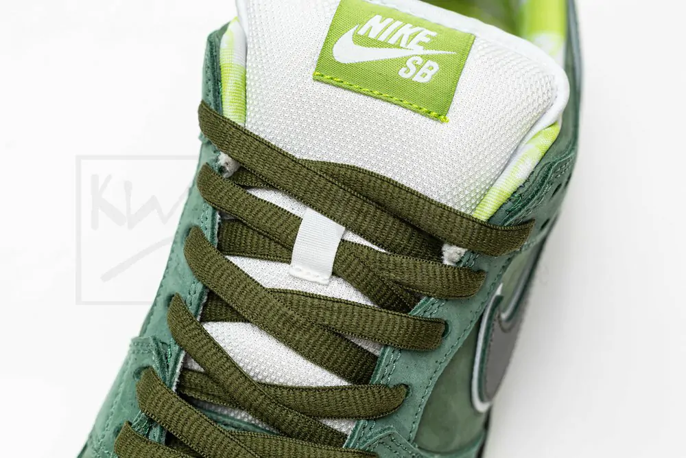 concepts x dunk low sb