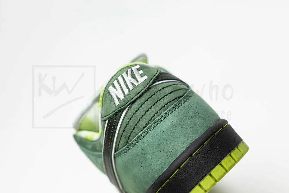 concepts x dunk low sb