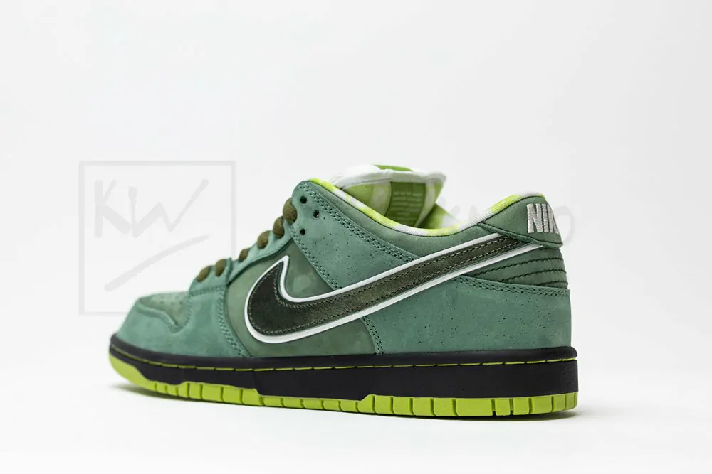 concepts x dunk low sb