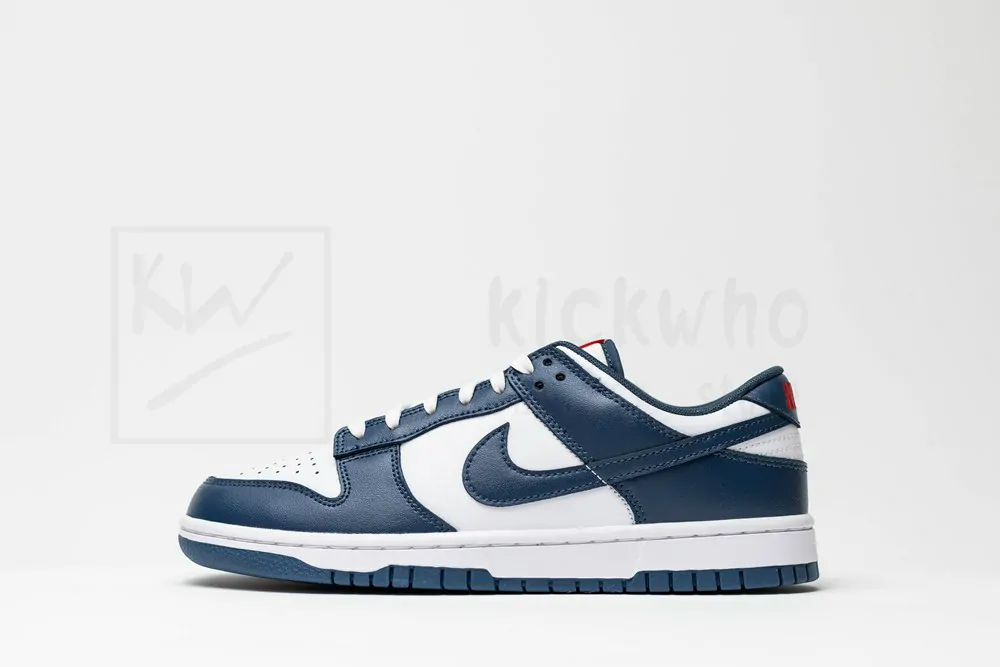 dunk low