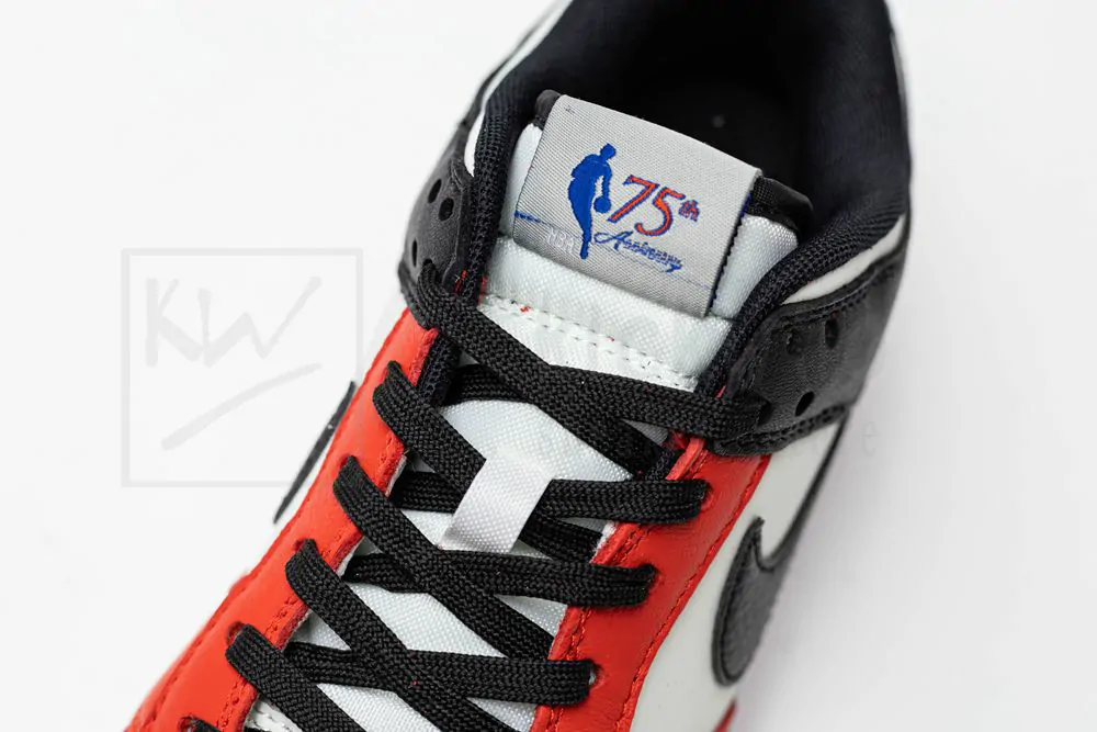 nba x dunk low emb