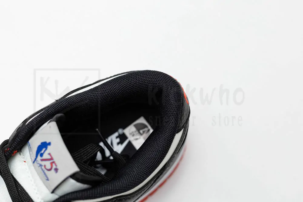 nba x dunk low emb