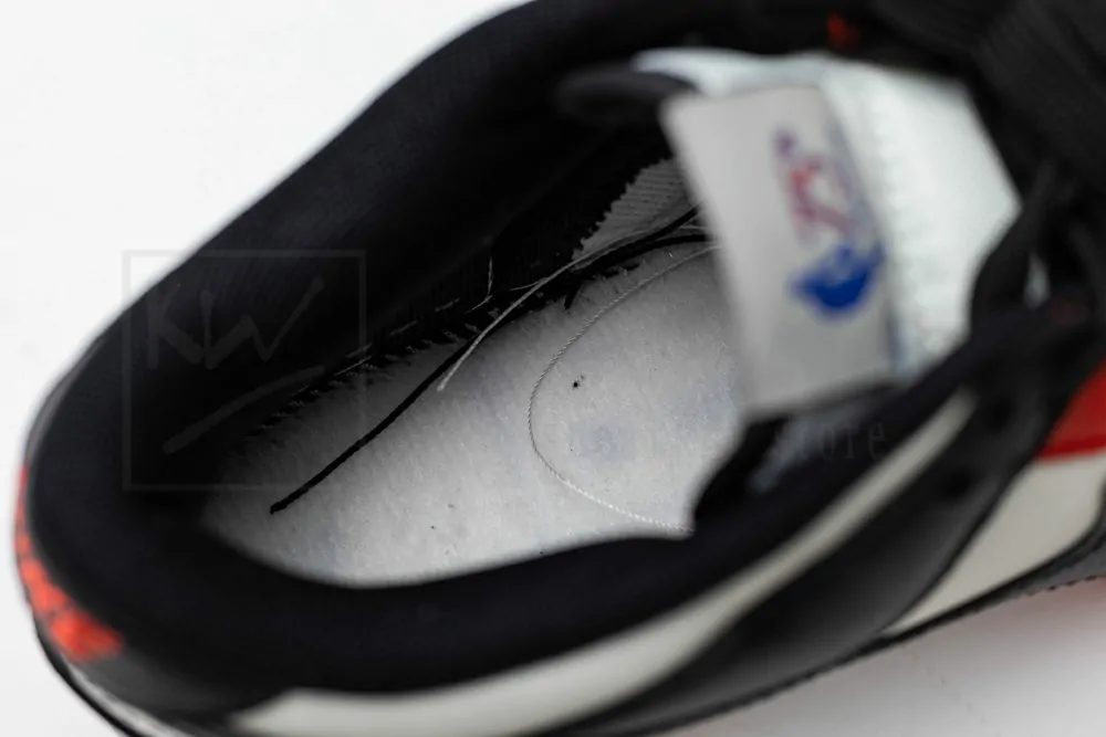 nba x dunk low emb