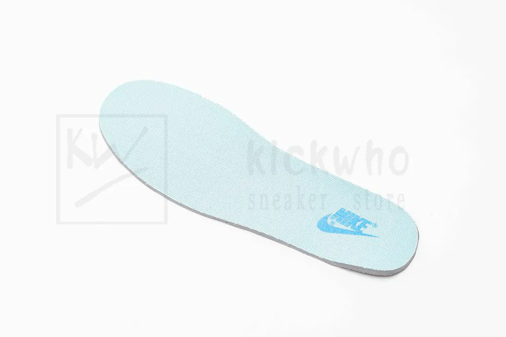 dunk low retro se 