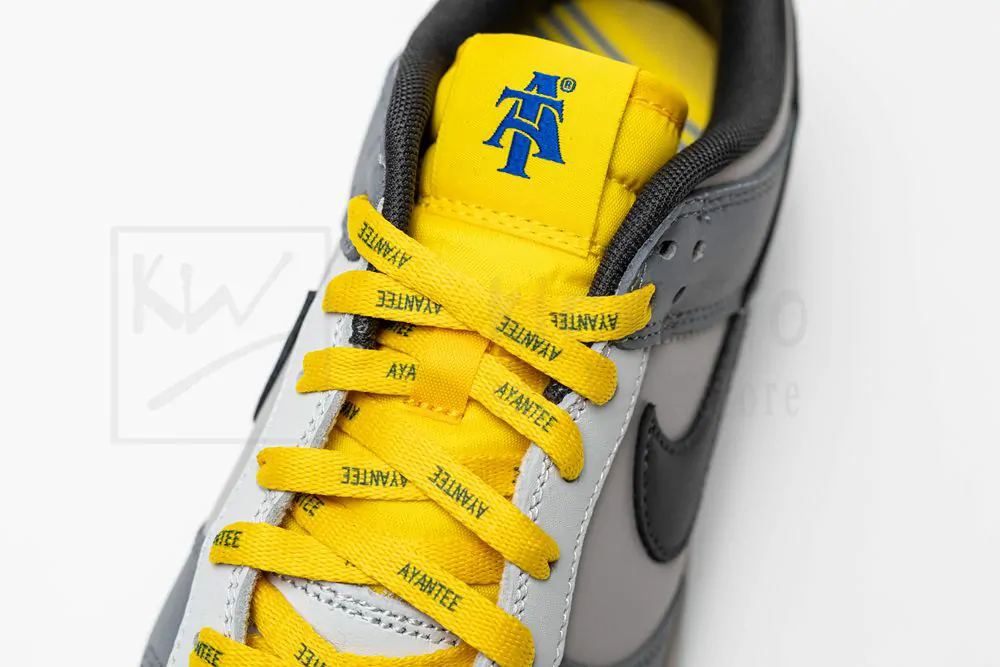 N0*H carolina a&t state x dunk low