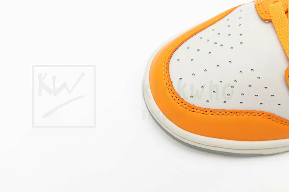 florida a&m university x dunk low