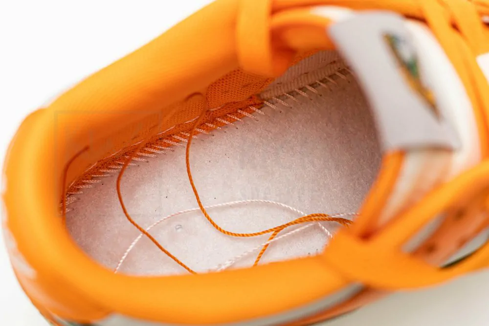 florida a&m university x dunk low