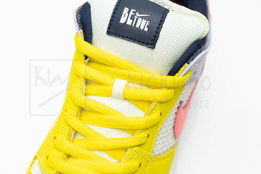 xavier schipani x dunk low sb
