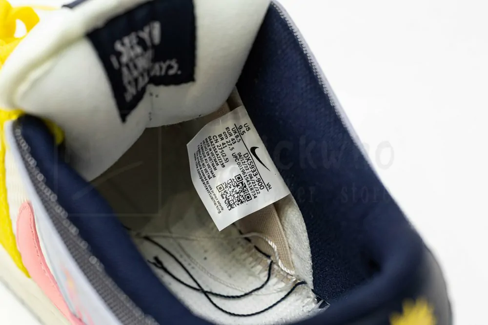 xavier schipani x dunk low sb