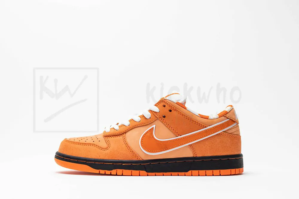 concepts x dunk low sb