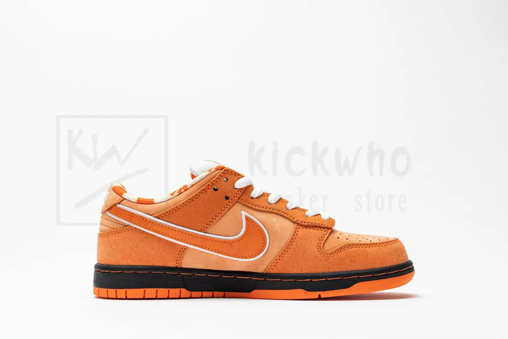concepts x dunk low sb