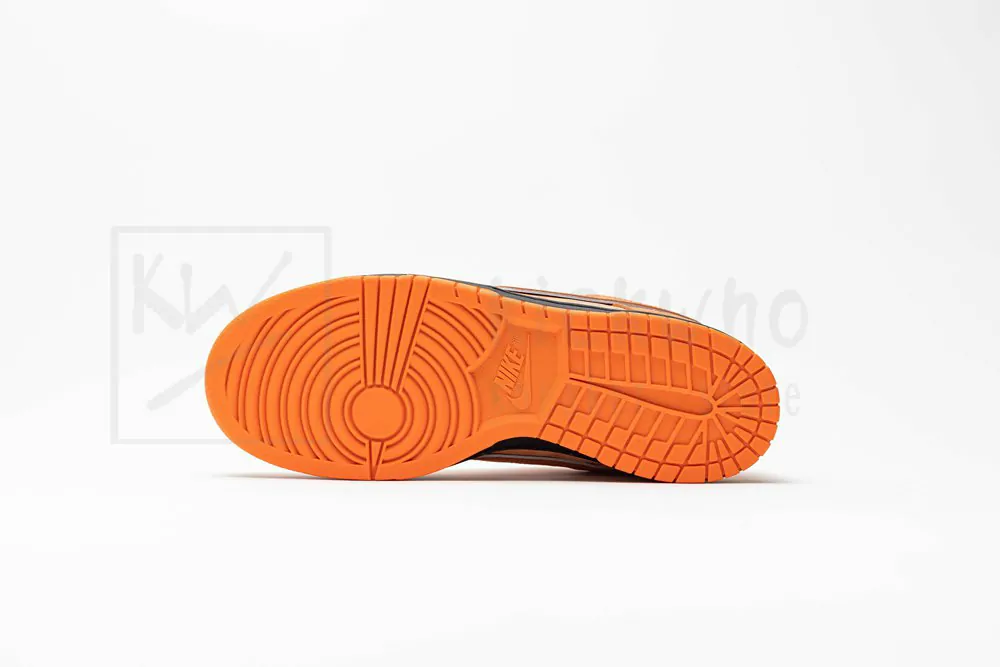 concepts x dunk low sb