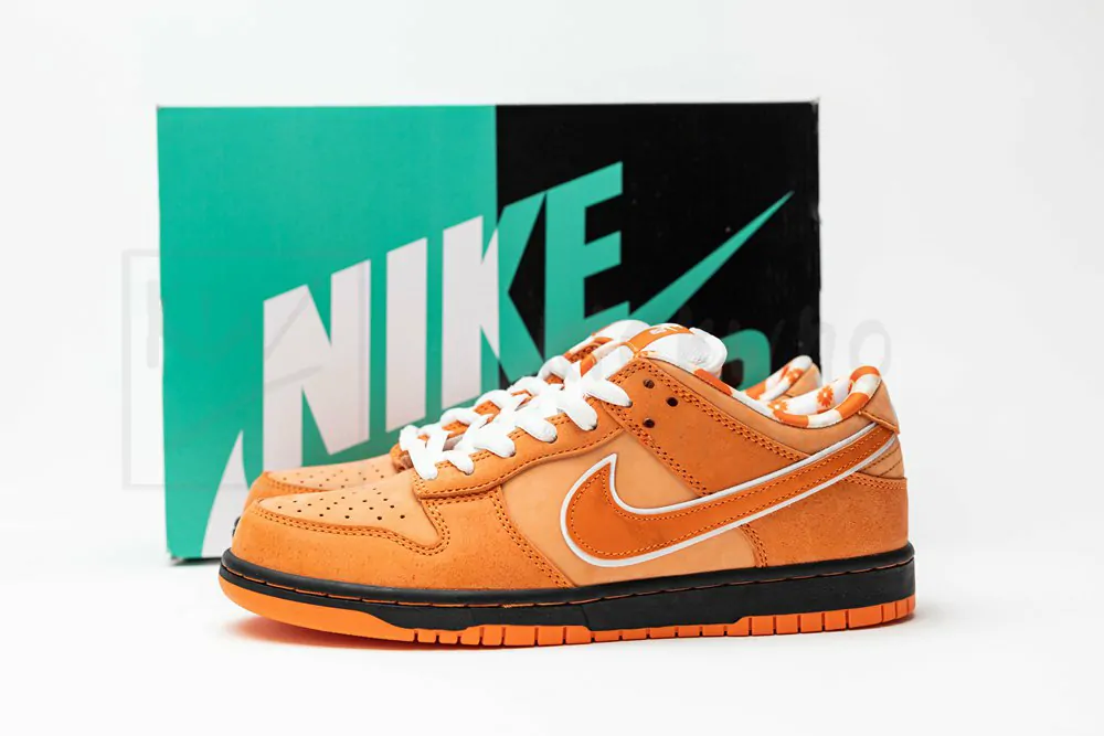 concepts x dunk low sb
