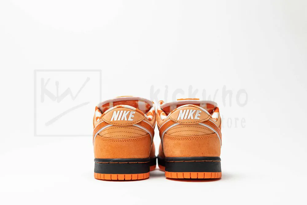 concepts x dunk low sb