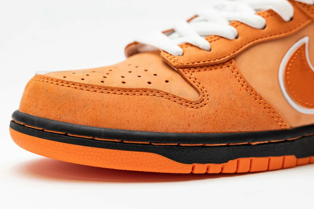 concepts x dunk low sb
