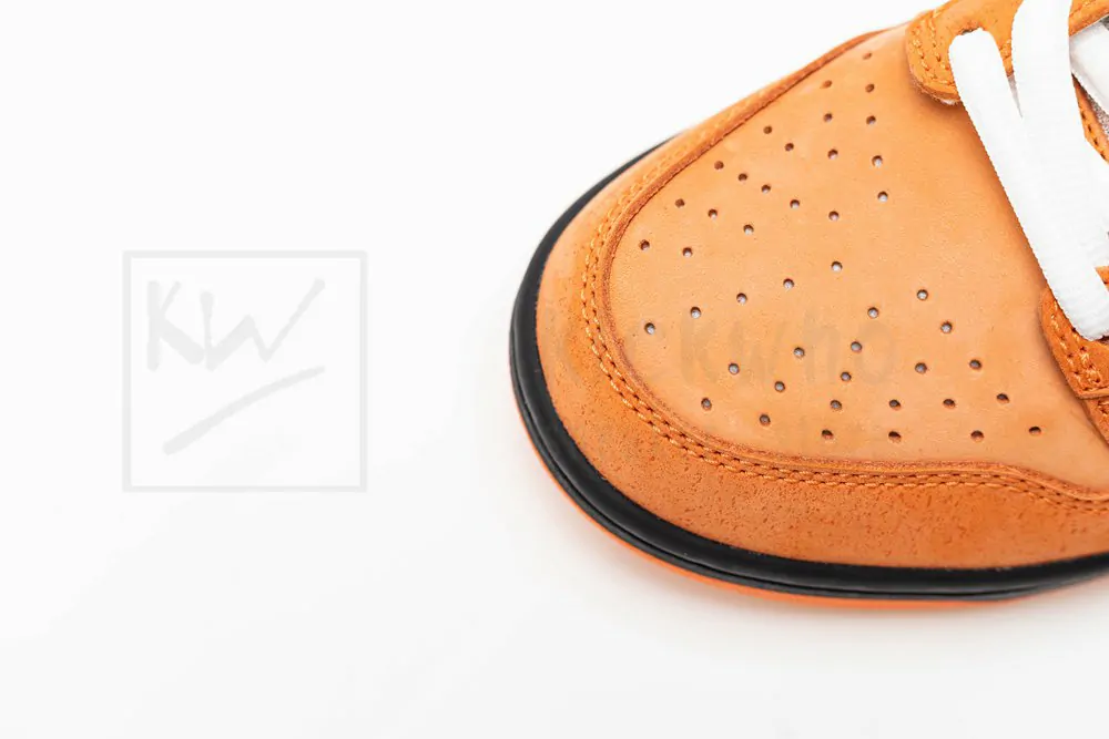 concepts x dunk low sb