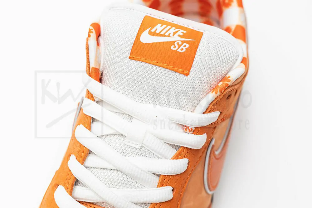 concepts x dunk low sb