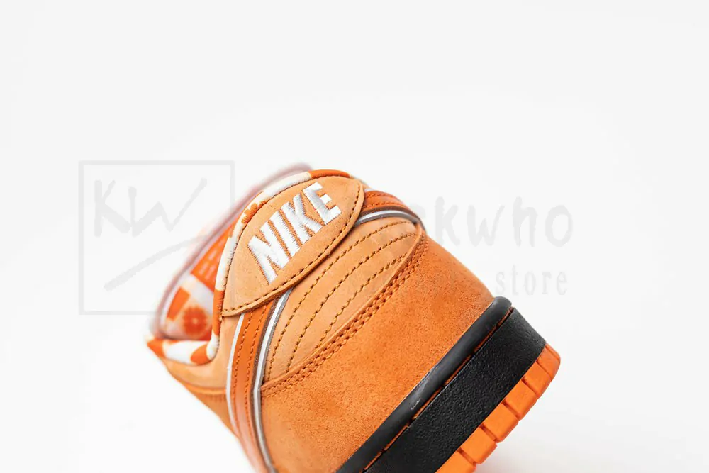 concepts x dunk low sb