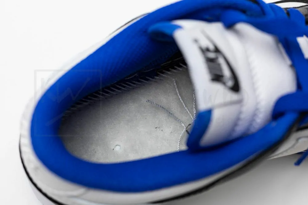 dunk low