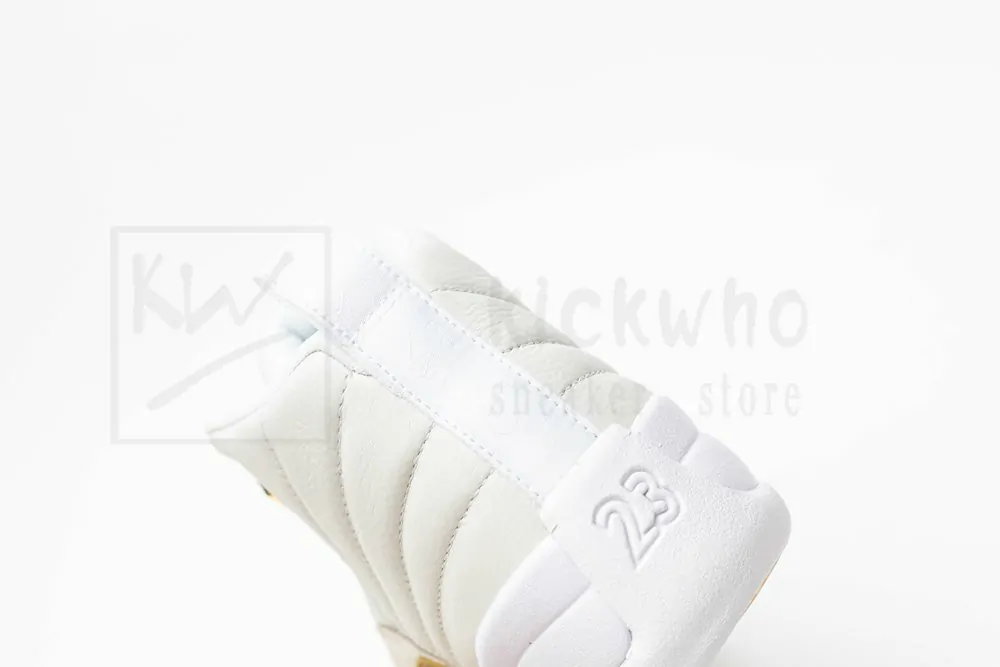 ovo x air jordan 12
