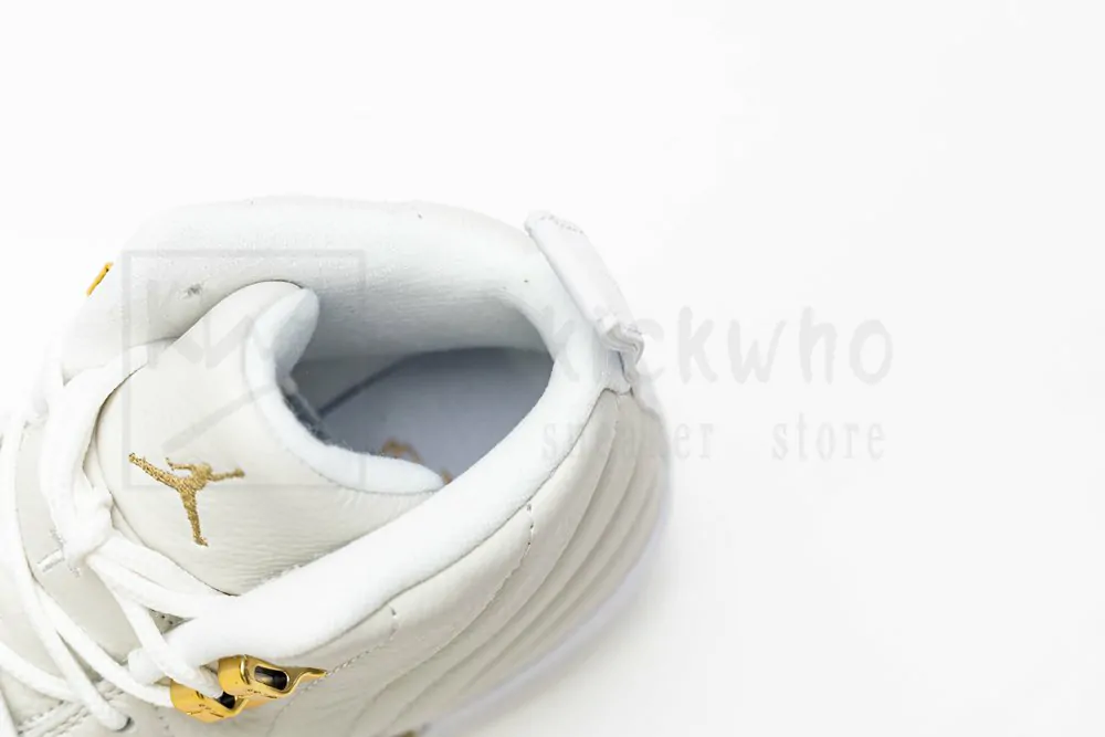 ovo x air jordan 12