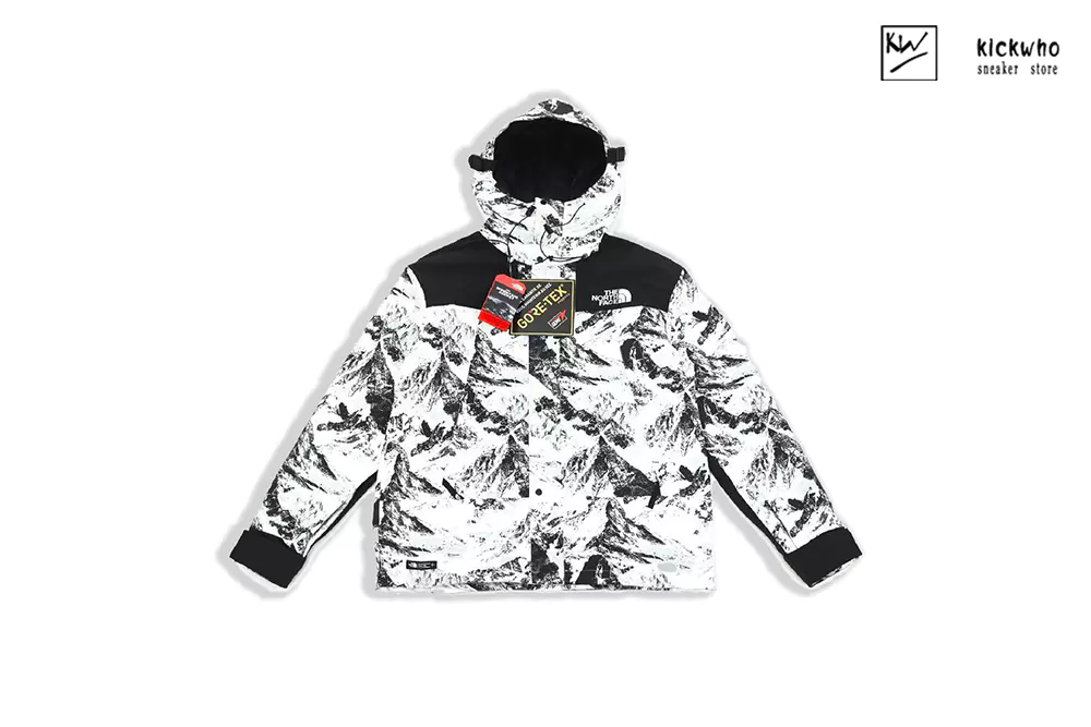 t*f snow mountain stormsuit