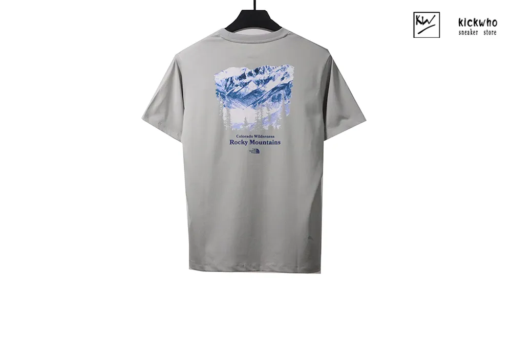 t*f snow mountain t-shirt grayish brown