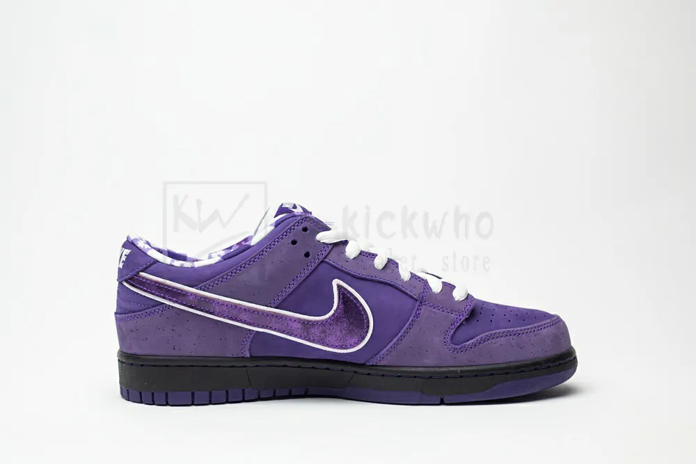 concepts x nike sb dunk low