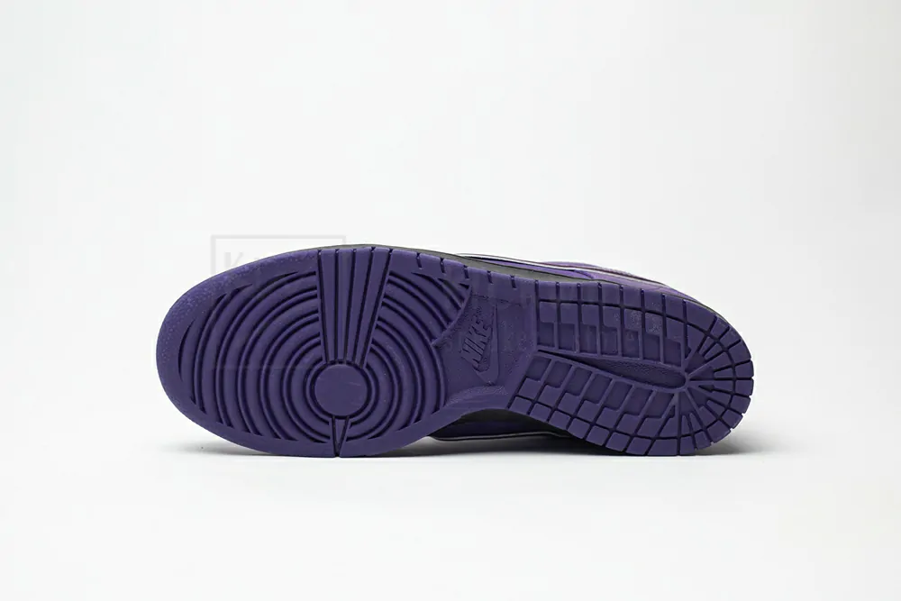 concepts x nike sb dunk low