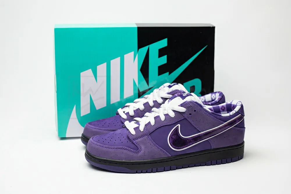 concepts x nike sb dunk low