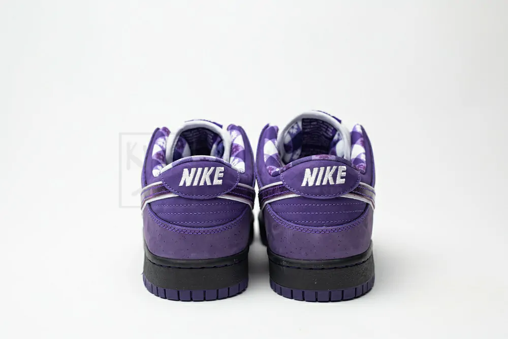 concepts x nike sb dunk low
