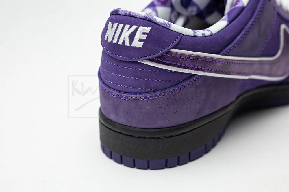 concepts x nike sb dunk low