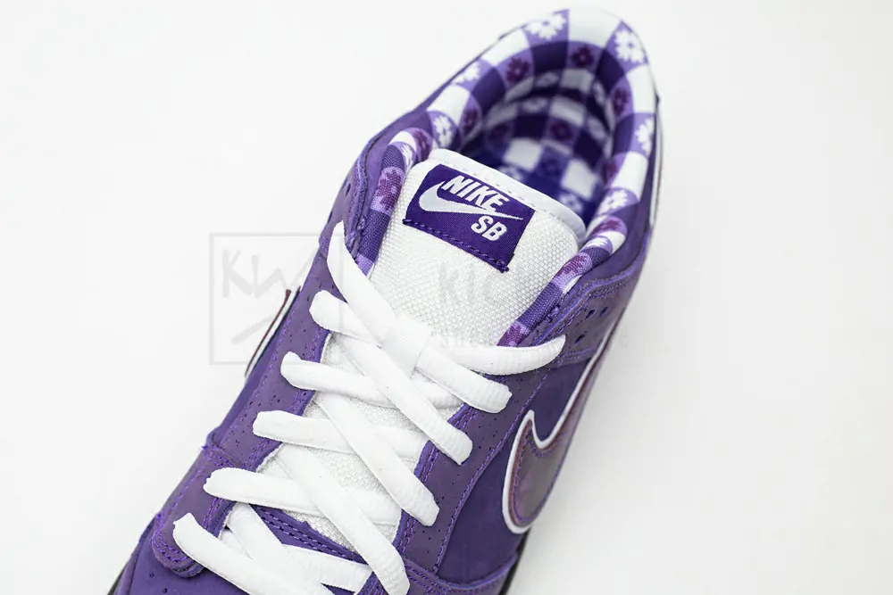 concepts x nike sb dunk low