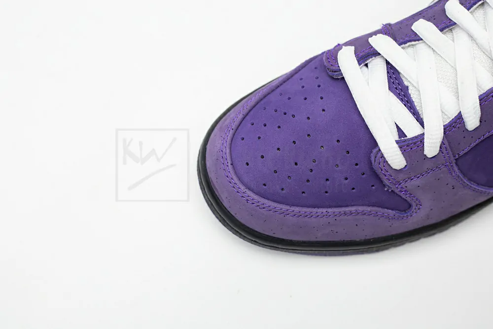 concepts x nike sb dunk low